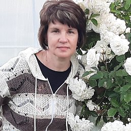 , 53,  