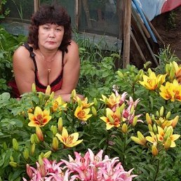 , 64, -