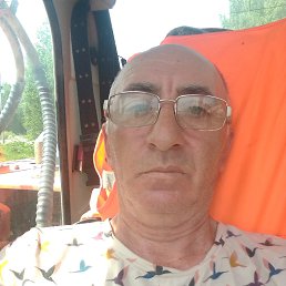 , 54, 