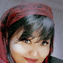 , 61, 